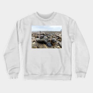 Snail and Rocks Crewneck Sweatshirt